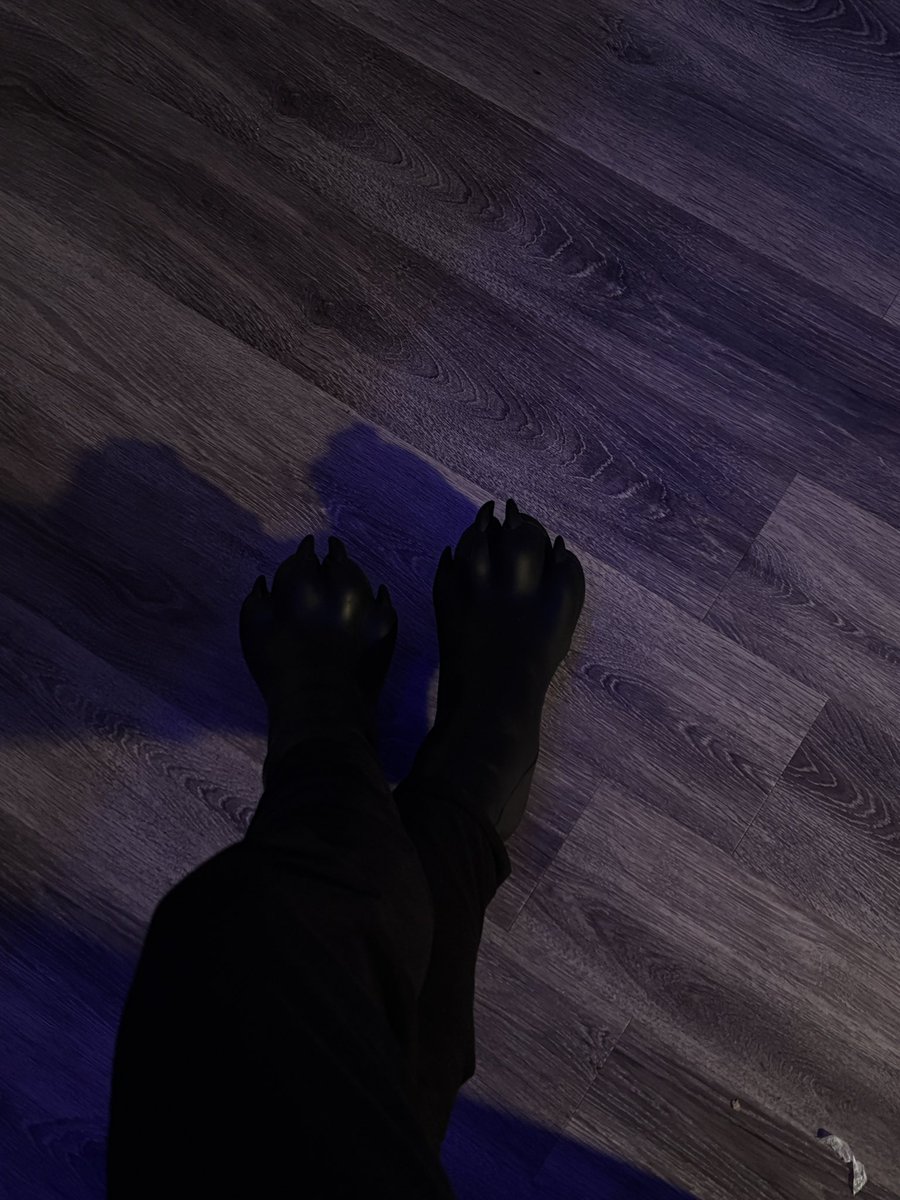 Night Raven tweet media