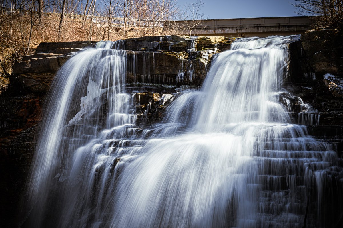 mrpicolas tweet media