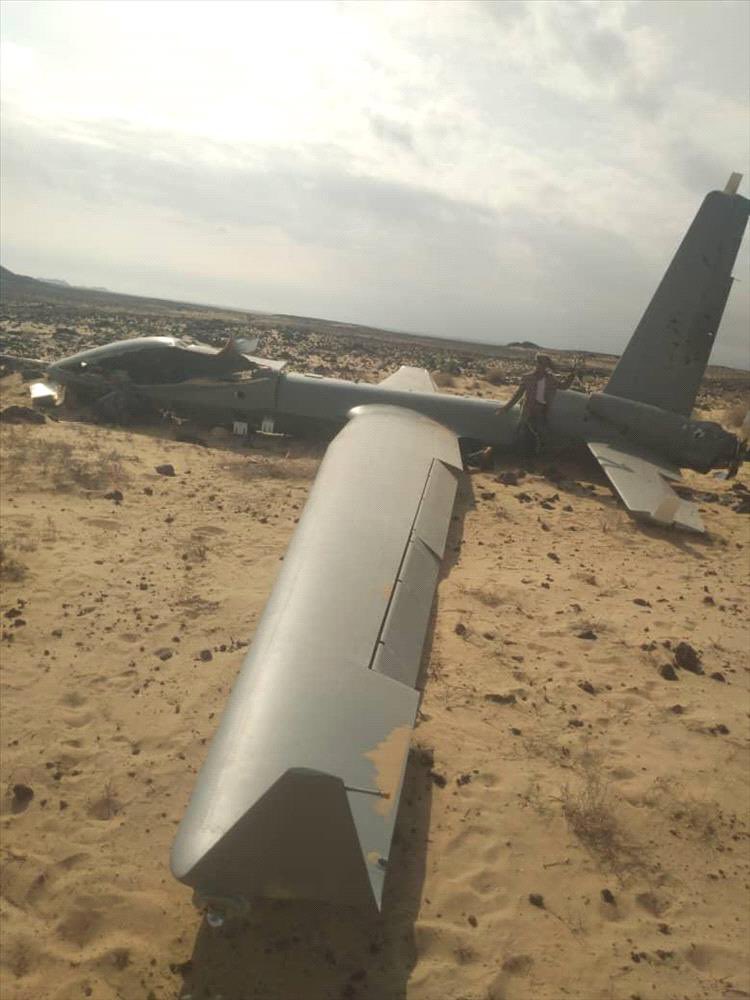 Patricia Marins tweet media