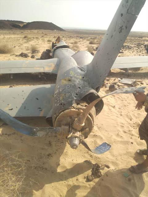 Patricia Marins (@pati_marins64) on X