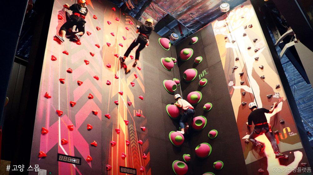 경기도 tweet media