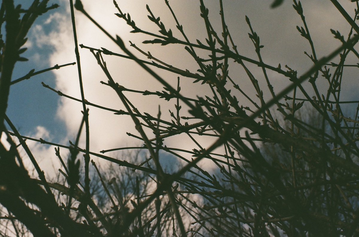 Rob Lansdale tweet media