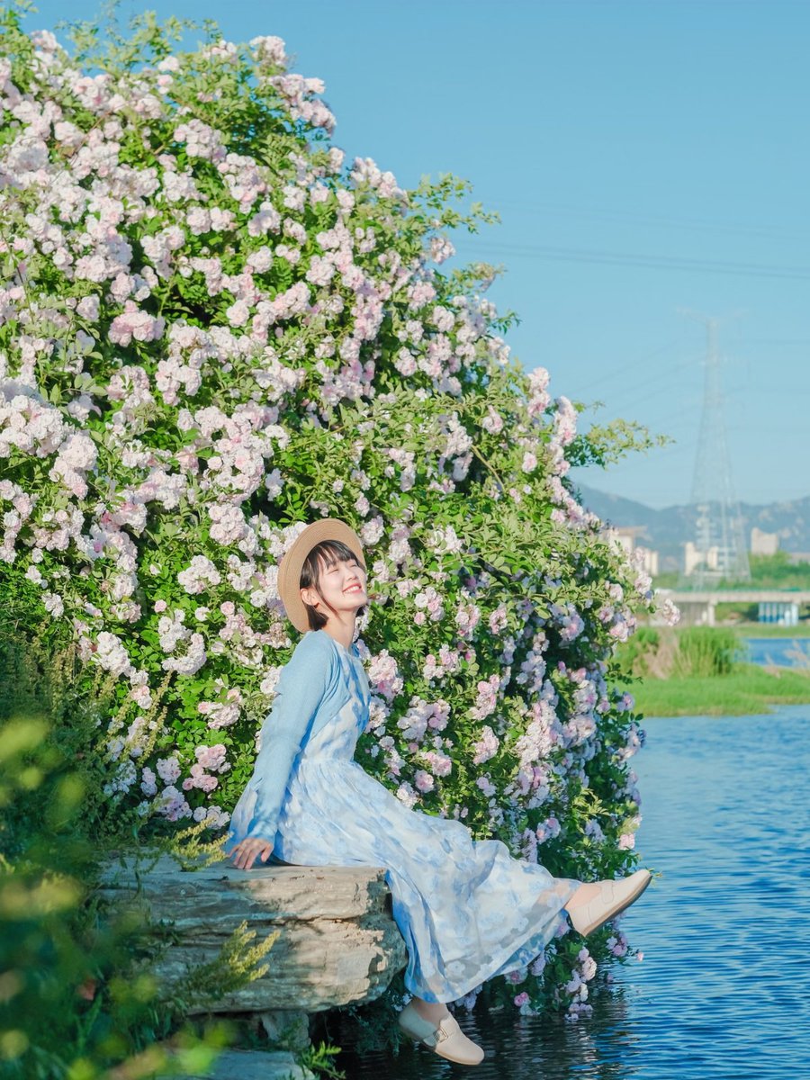 J4sonWong's tweet image. 春游第六站:接下来的青岛是万万次的春和景明
The sixth stop of the spring outing: Qingdao that follows is a place of countless times of spring's clear and bright scenery.
#springouting
#春游 
#青岛
#Qingdao