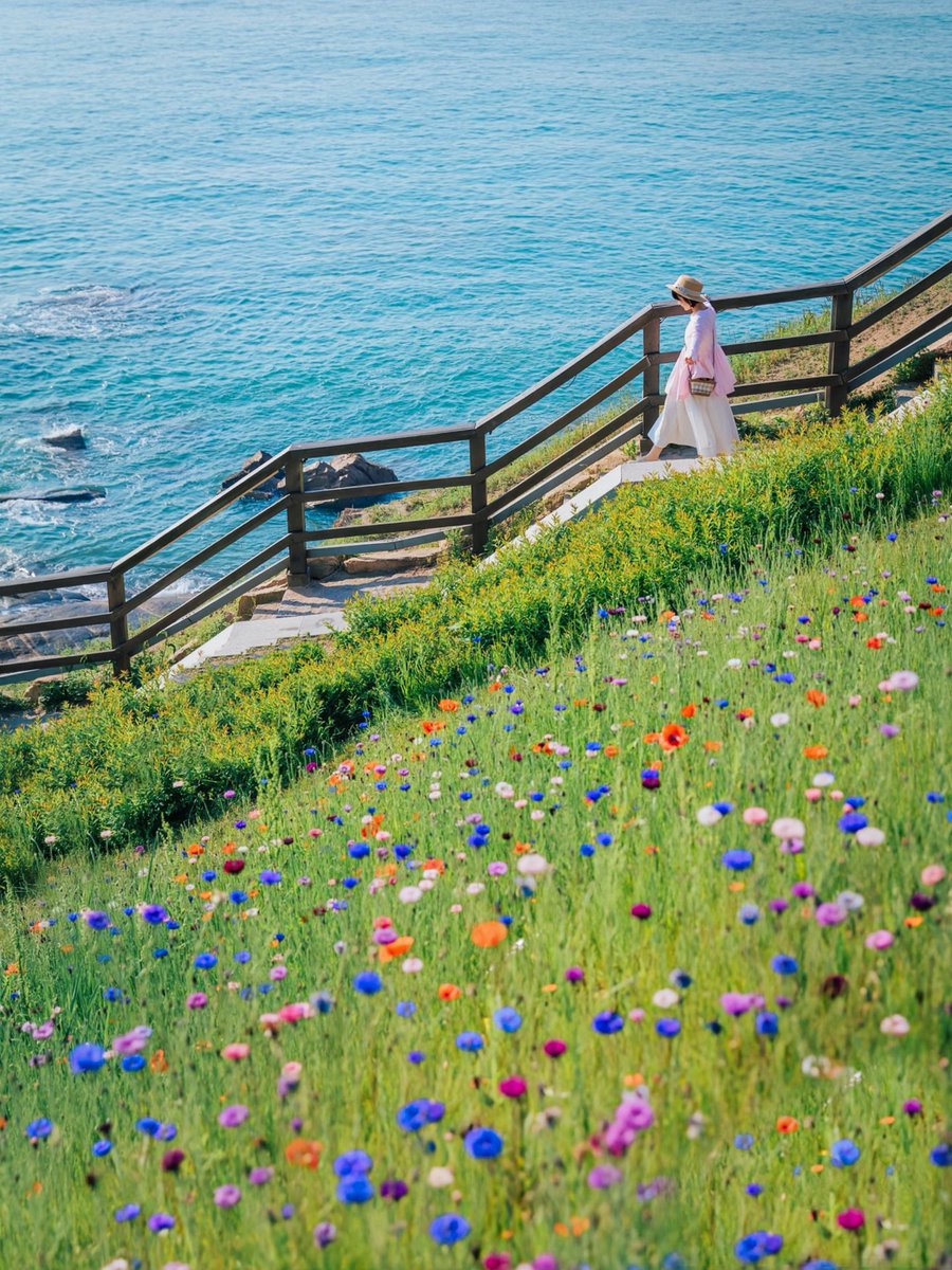 J4sonWong's tweet image. 春游第六站:接下来的青岛是万万次的春和景明
The sixth stop of the spring outing: Qingdao that follows is a place of countless times of spring's clear and bright scenery.
#springouting
#春游 
#青岛
#Qingdao