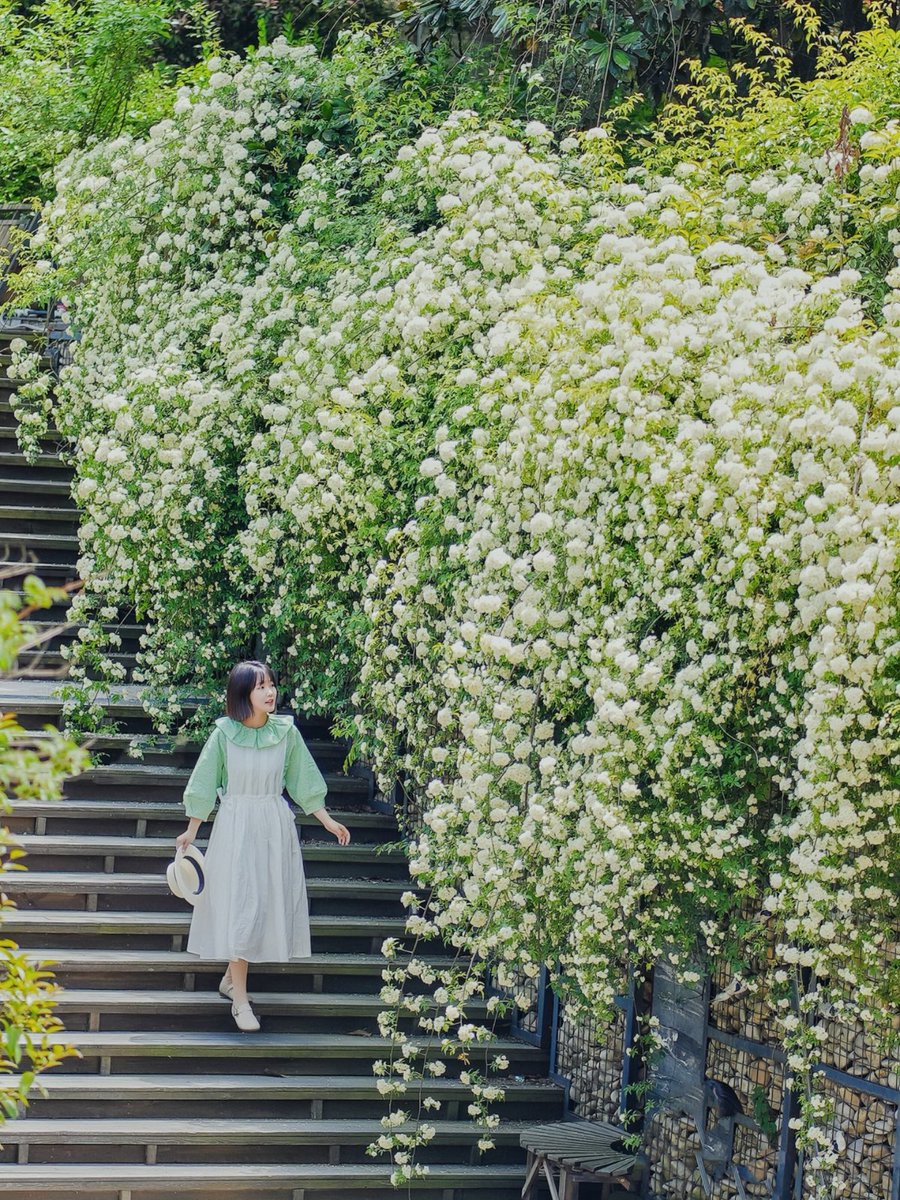 J4sonWong's tweet image. 春游第六站:接下来的青岛是万万次的春和景明
The sixth stop of the spring outing: Qingdao that follows is a place of countless times of spring's clear and bright scenery.
#springouting
#春游 
#青岛
#Qingdao