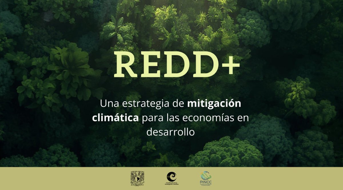 UNAM_PINCC's tweet photo. La reforestación tiene un papel clave en las estrategias de mitigación climática.
¿Sabías que existe una estrategia para las economías en desarrollo llamada REDD+?
Aquí te platicamos un poco más de ella
#reforestar #redd+
#AcciónClimática #PINCC #CienciaYSociedad https://t.co/nUtkZUcuGN