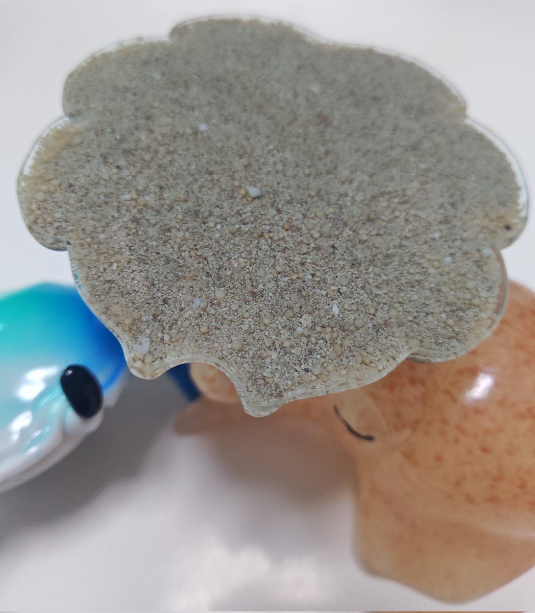 シュバルツ/JE1 tweet media