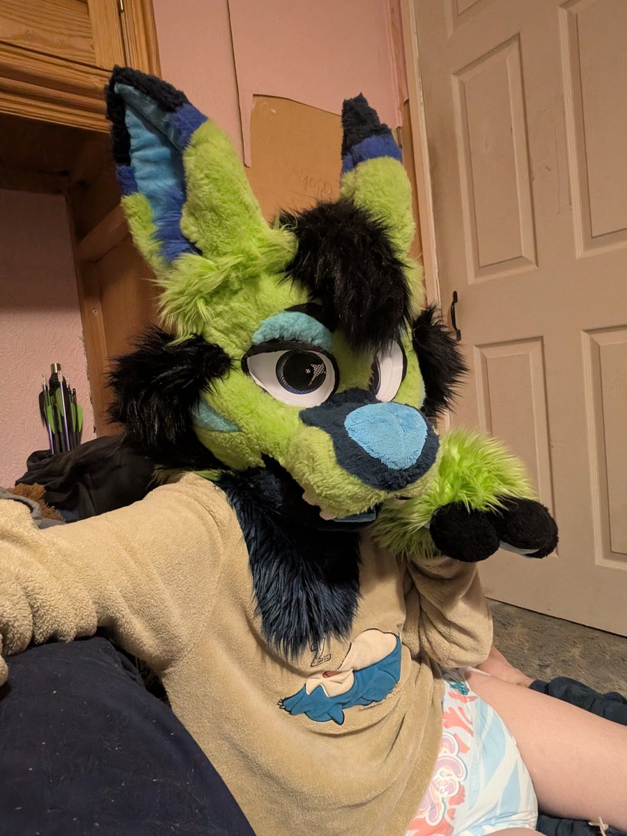 ArchyKitty tweet media