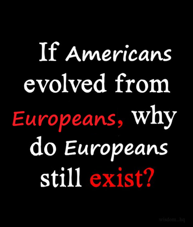 Luke Mercer tweet media