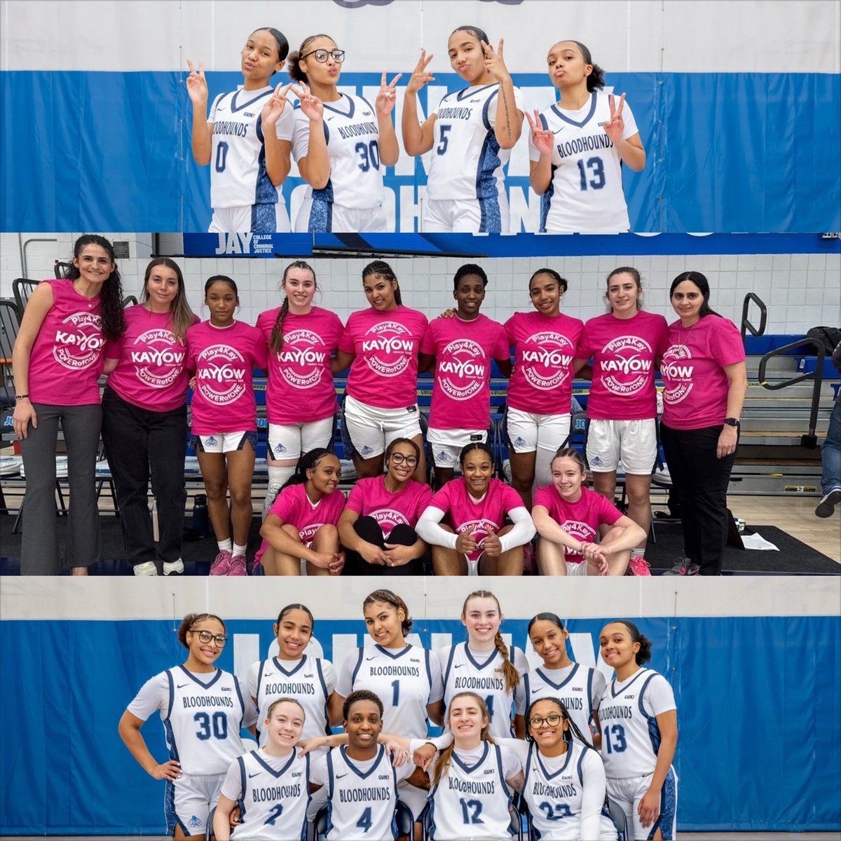 Lynda Day tweet media