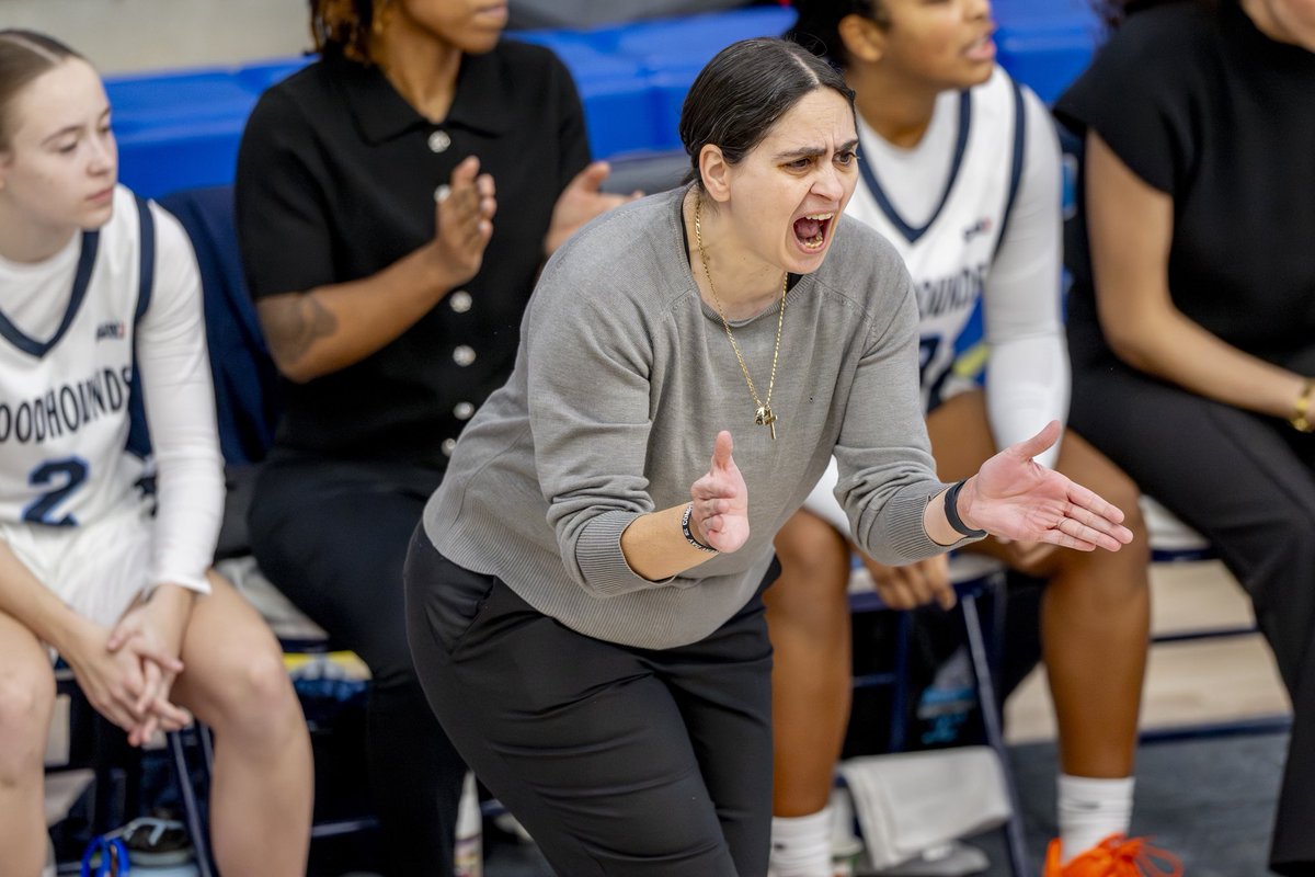 Lynda Day tweet media