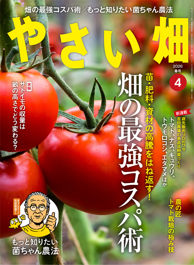831btk's tweet photo. 『やさい畑』春号、本日（３/３）発売開始！
春の陽気に葉物や果菜類の種をまかれた方も多いと思います。菜園シーズンもいよいよスタート。特集は、野菜づくりのコスパをアップする術を一挙公開。ほかにも新連載が���ずらっと５本登場するなど、今号も盛りだくさんの内容です！
https://t.co/qgmEJtzx5w←Amazonはこちら