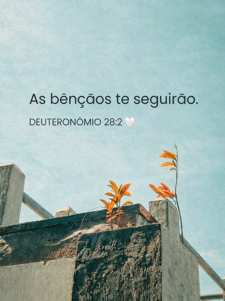 Eliabe Nascimento 𝕏 (@eliabe76) on Twitter photo 