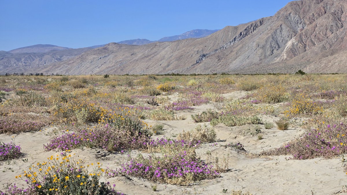 off2cdwzrd tweet media