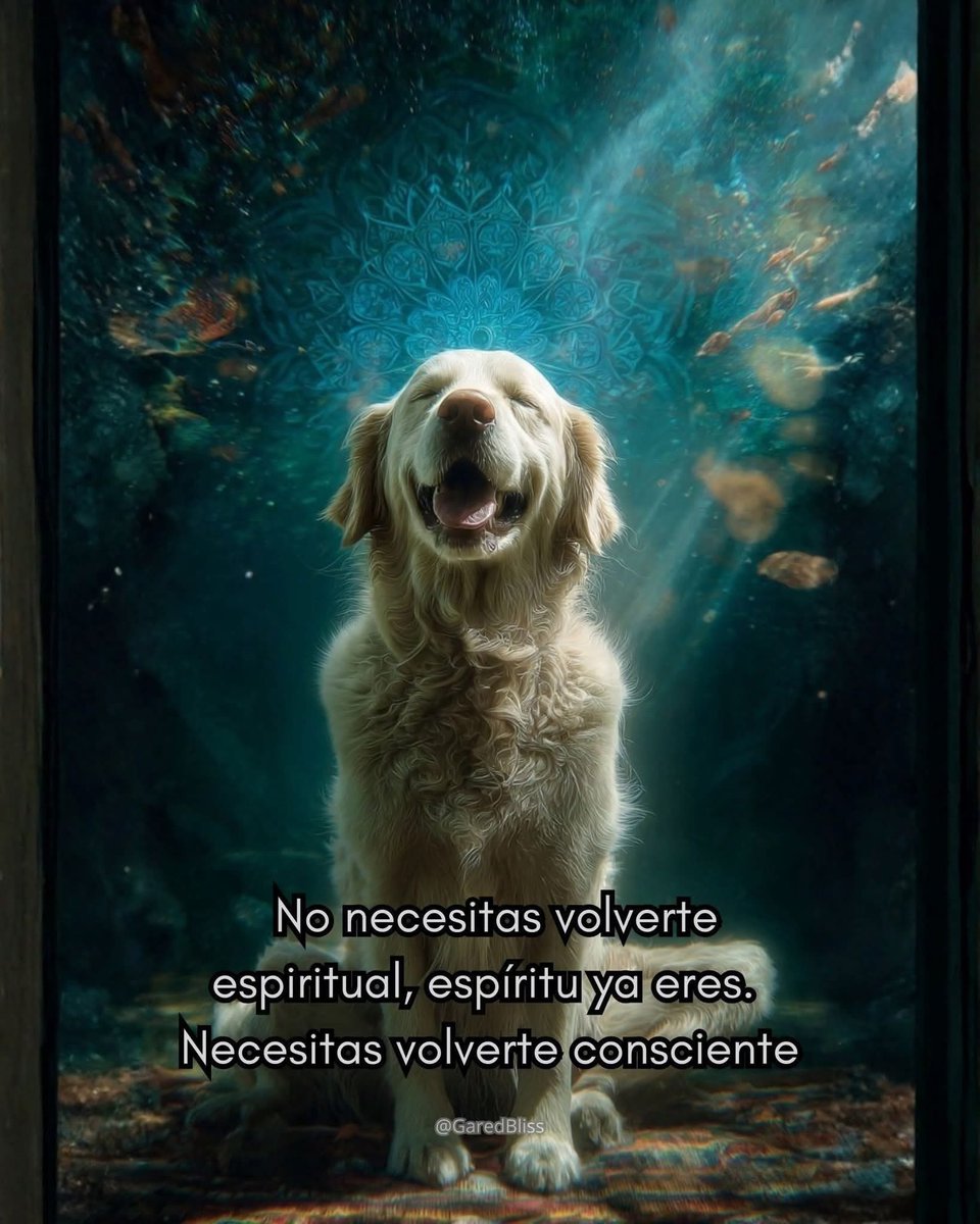 Dilo con perritos (@diloconperritos) on Twitter photo 