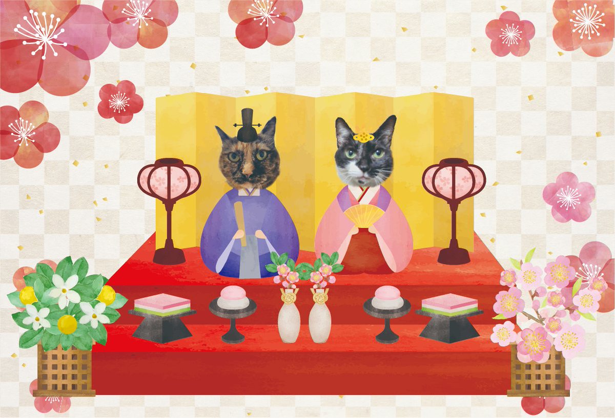 DesignDatanet's tweet photo. おはようございます。雨だし寒いにゃ〜。
今日はひな祭りなので雛人形になってみた（かなり無理があるが・・・）
本日もよろしくお願いしますにゃ😸
#企業公式相互フォロー #企業公式つぶやき部 
#企業公式冬のフォロー祭り 
#ひな祭り ＃仕事猫 https://t.co/LAzZvfGBZc