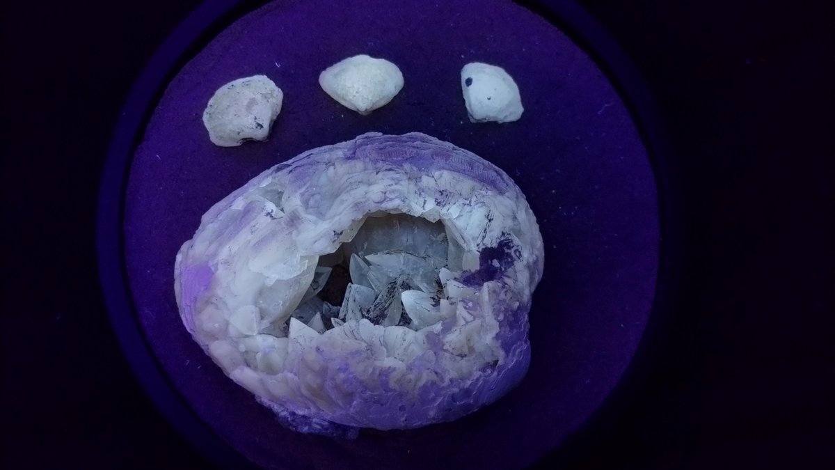 Mirror of Time in the 📚 Library of Dreams 📖 tweet media