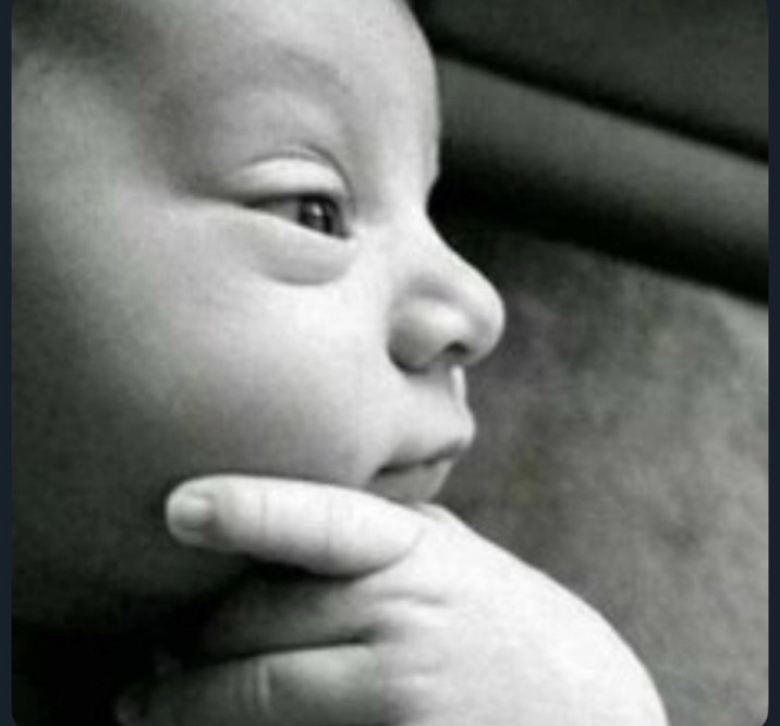 desocupado tweet media