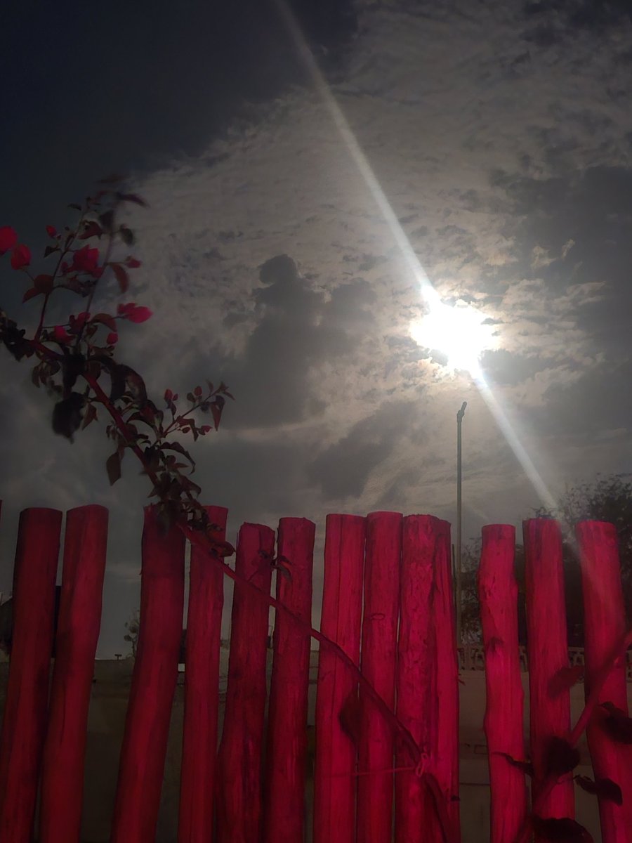 seasunsoulful's tweet image. La Luna, Are you ready? You're the star of the show tonight! #virgomoon 
#LunarEclipse ♍