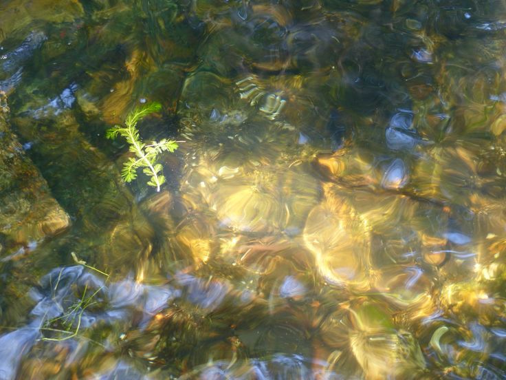 𝒍𝒖𝒏𝒂 tweet media