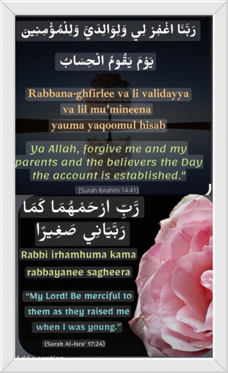 Adv Alvi tweet media