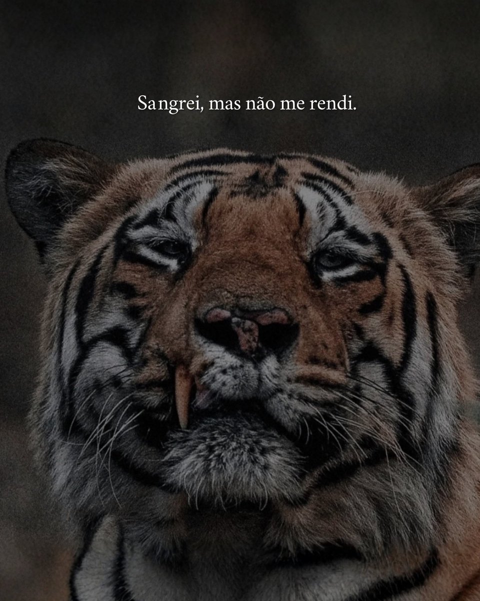 filosofia de poder tweet media