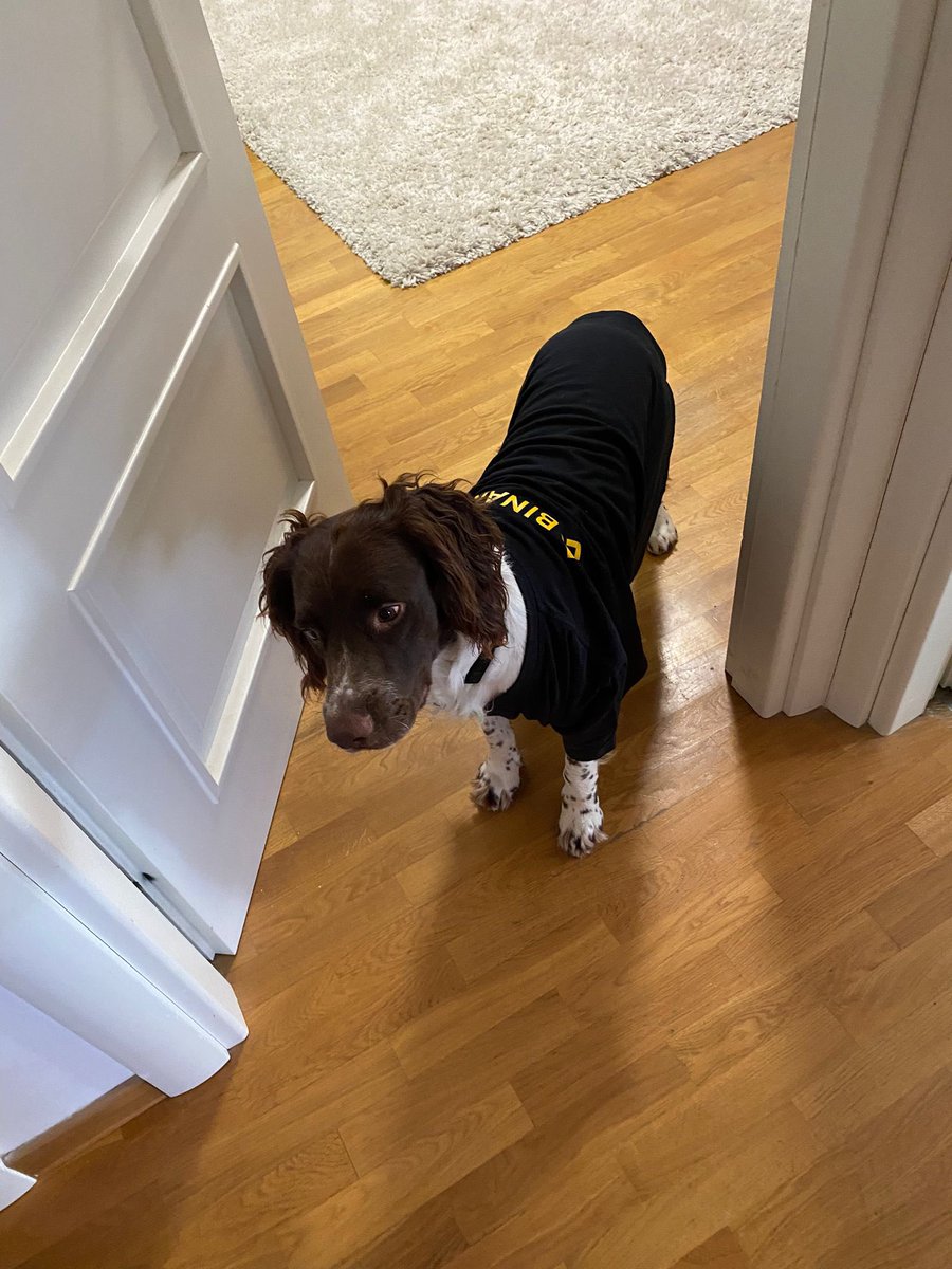 币安Binance华语 tweet media