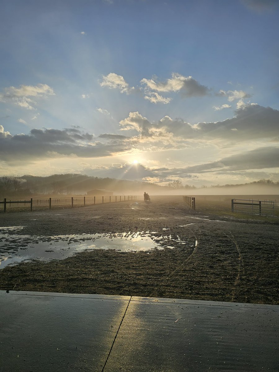 Beachy Racing LLC tweet media