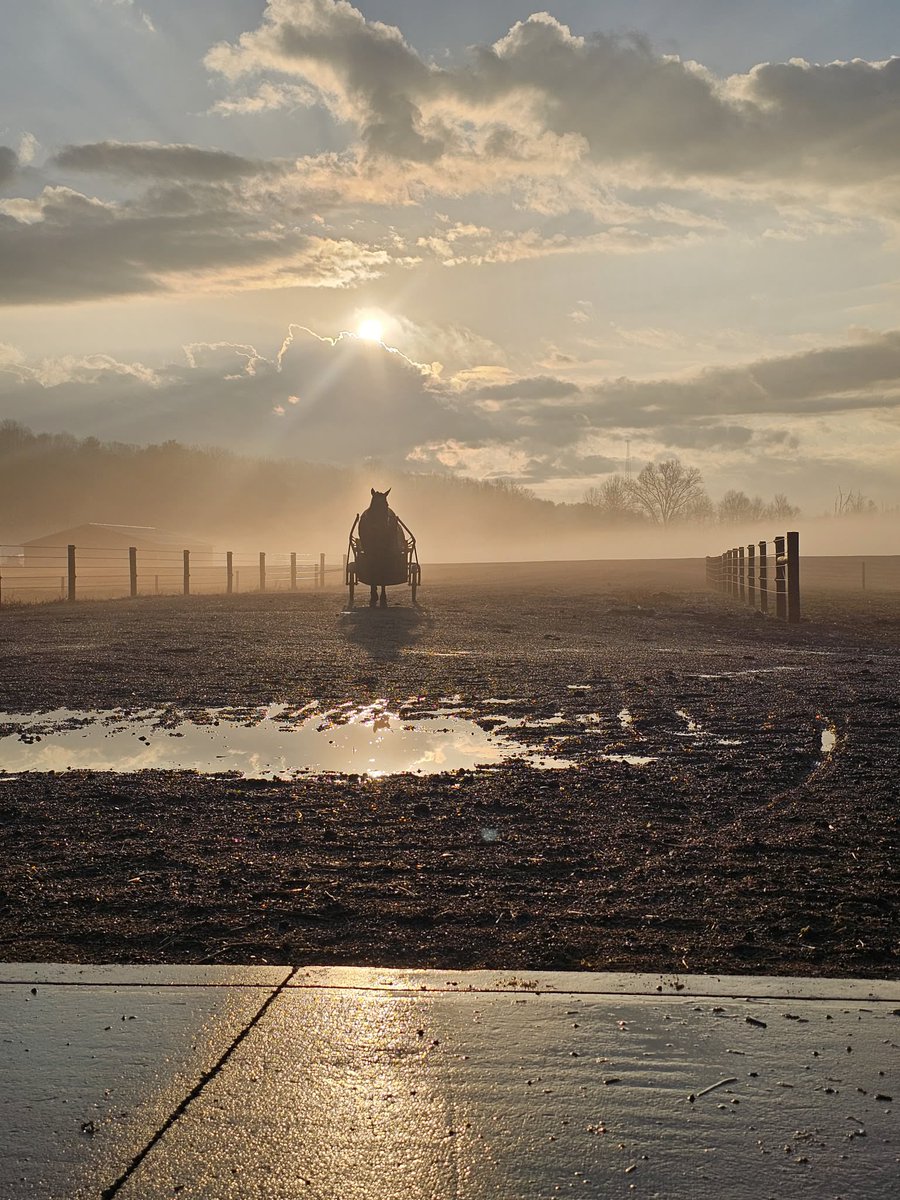 Beachy Racing LLC tweet media