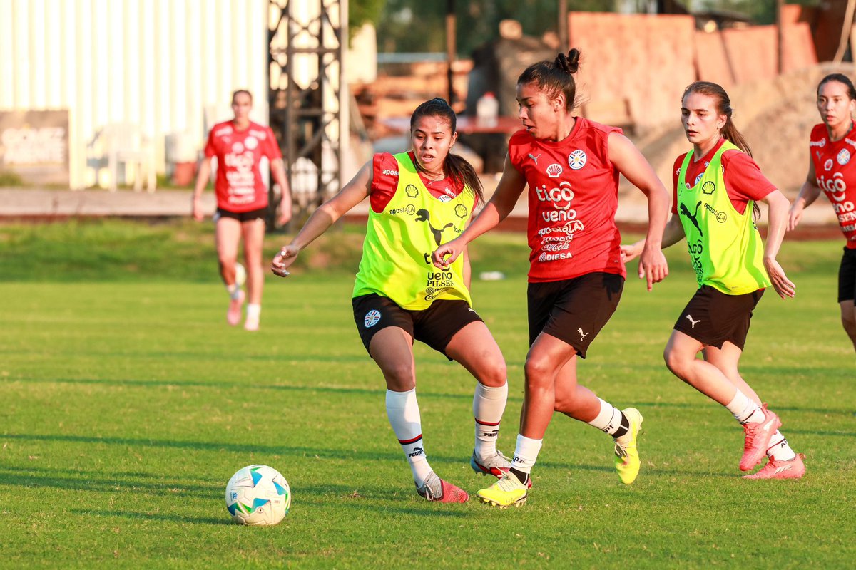 Selección Paraguaya tweet media