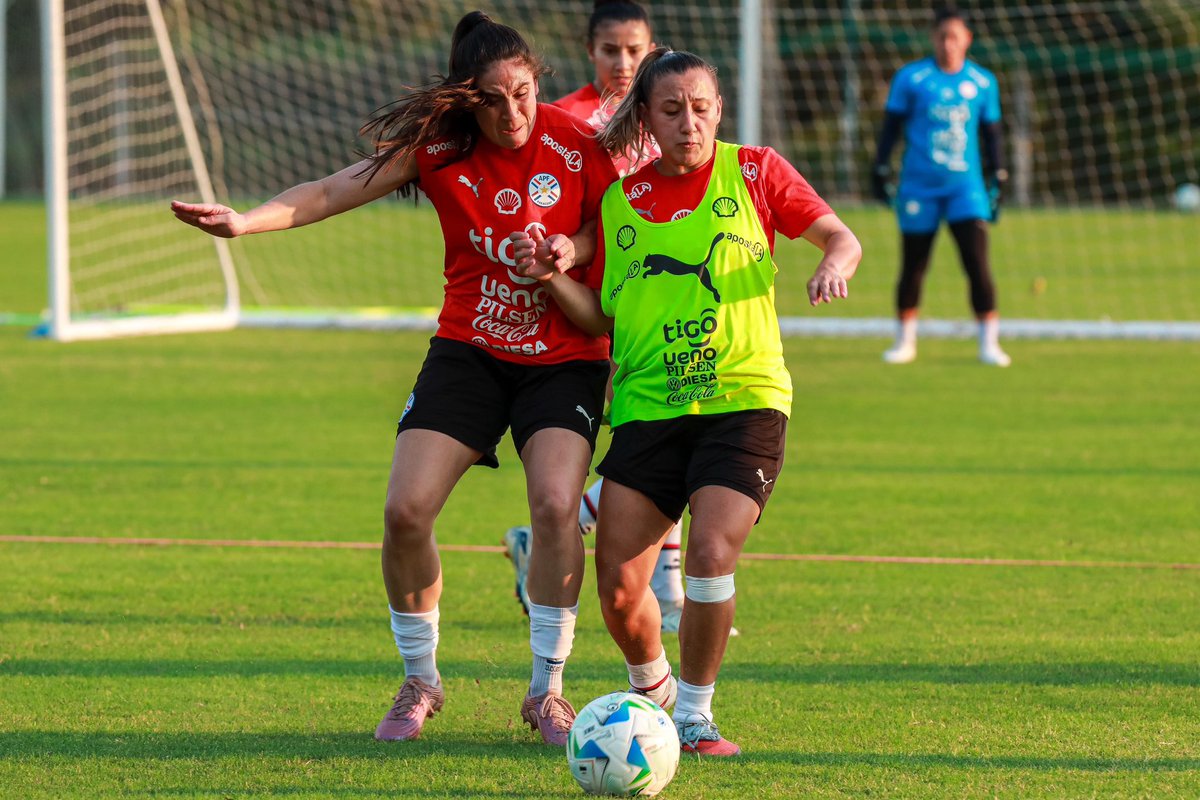Selección Paraguaya tweet media