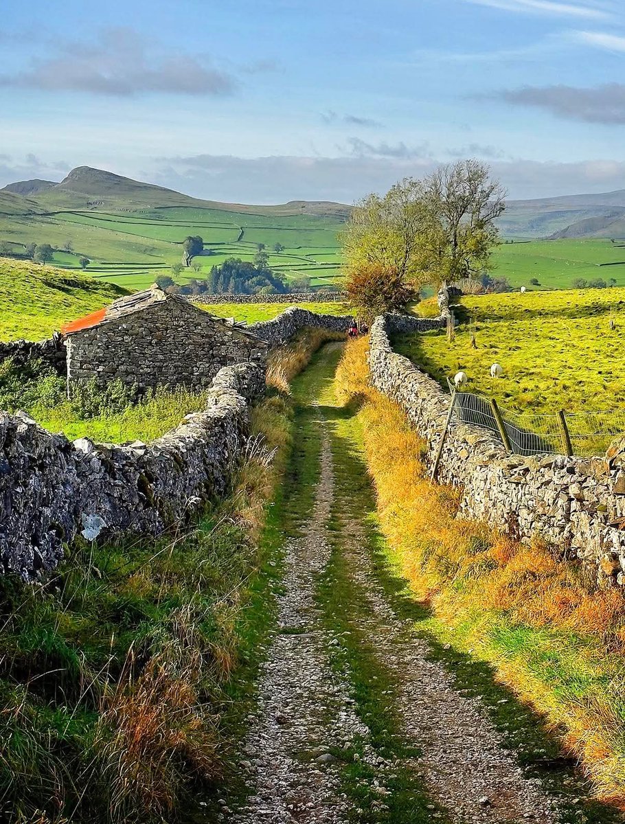 earthviewss1's tweet photo. Yorkshire Dales, England 🏴󠁧󠁢󠁥󠁮󠁧󠁿 https://t.co/7TAcSfBlOk