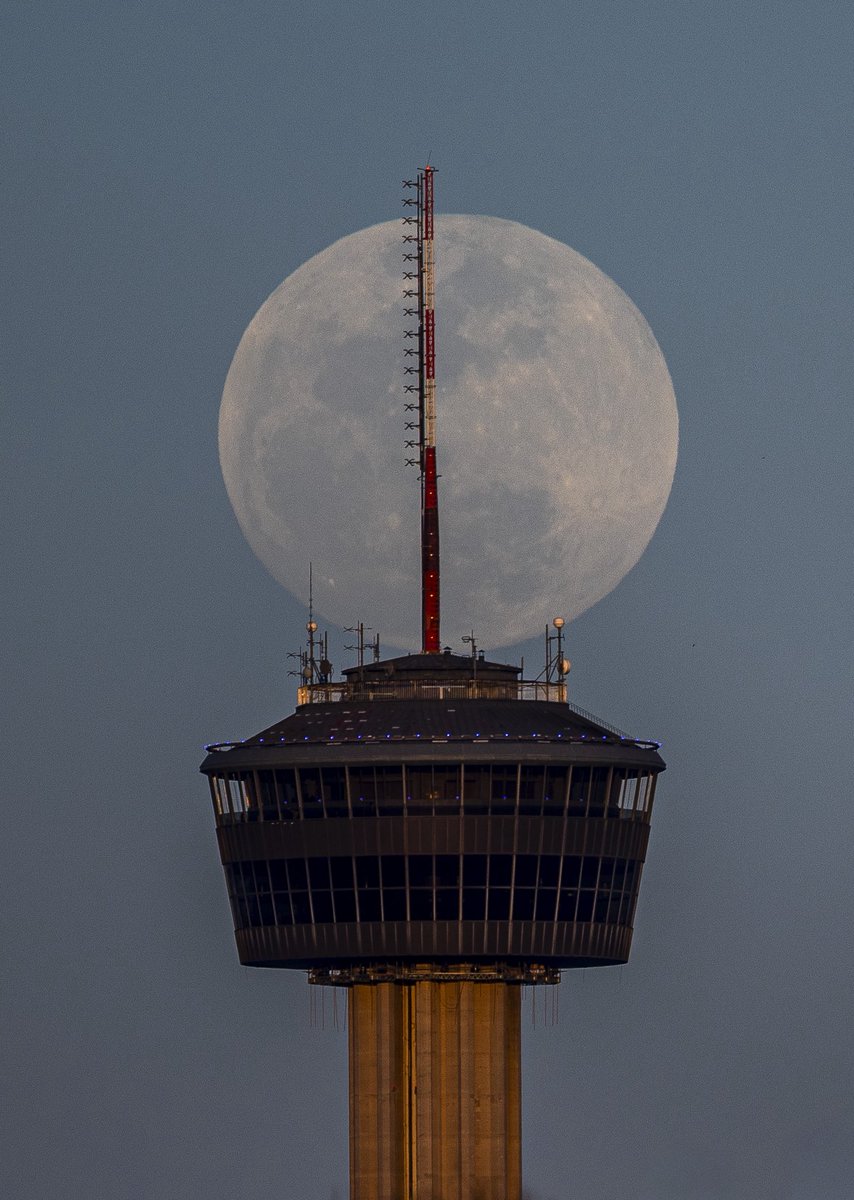 Andrew J. Whitaker tweet media