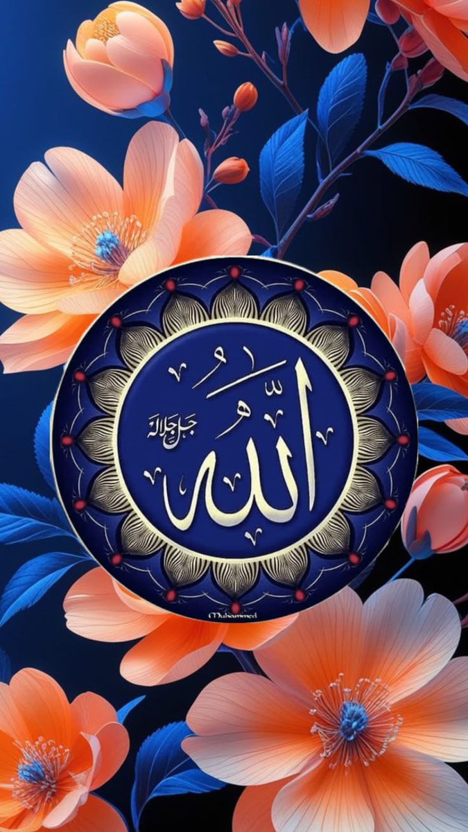 🦋عروج فاطمہ 🦋 tweet media