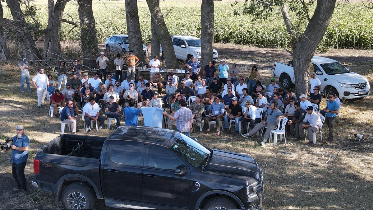 Guille Divito tweet media