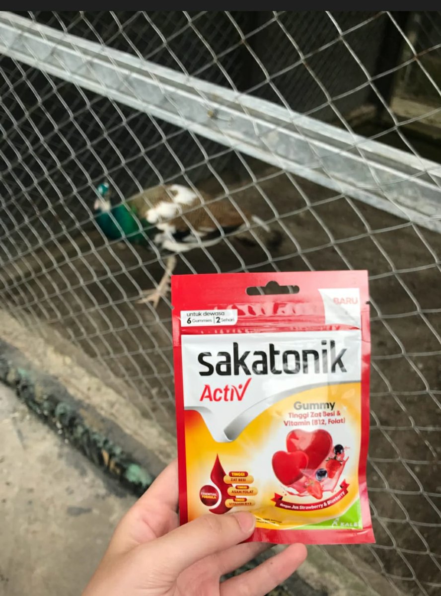 a8_adrian's tweet photo. sering banget mikir nanti aja kalo lagi mau minum vitamin 😭 kebiasaan itu skrg gw ubah pelan2, termasuk lebih perhatiin vitamin yg masuk ke tubuh, gw pilih ke Sakatonik Activ Gummy yg kandungannya ada zat besi, asam folat, B12 praktis tinggal kunyah https://t.co/uUDyDeqsZn https://t.co/qJFKwvwYEh