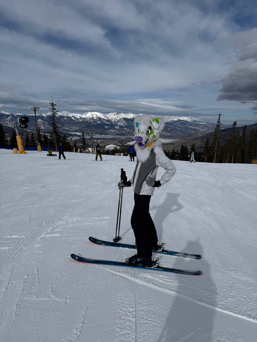 Varg Gray 🔜 LVFC tweet media