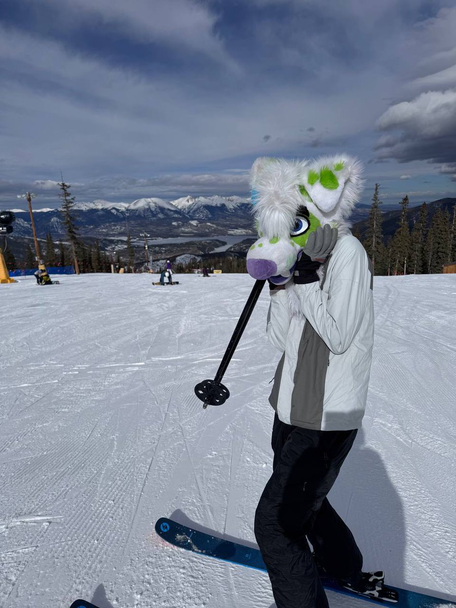 Varg Gray 🔜 LVFC tweet media