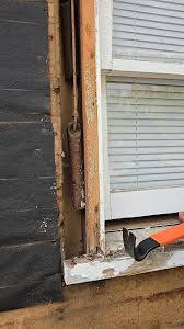 Coal silvermuzzle tweet media