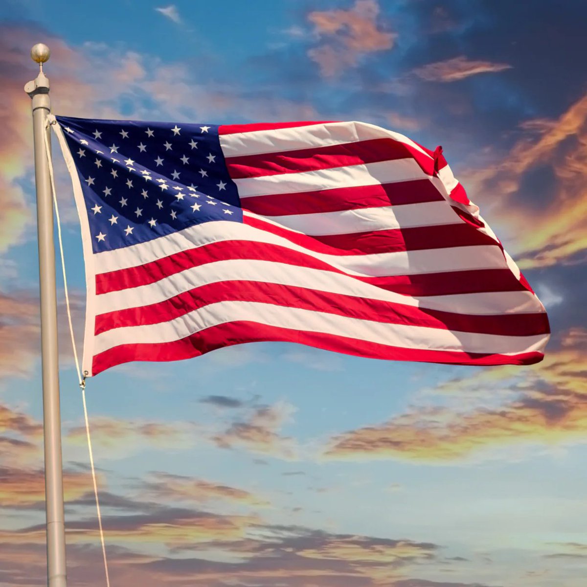 JapaneseCrypto News tweet media