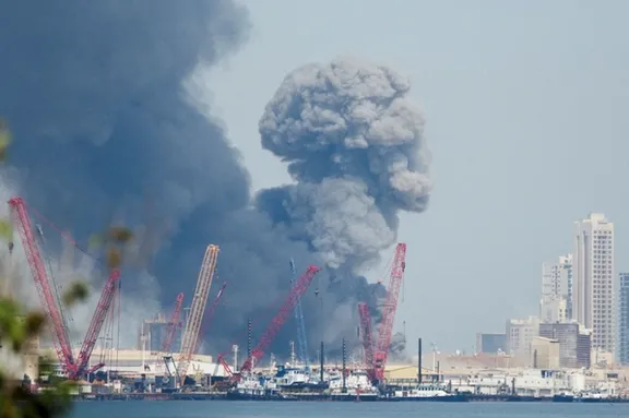 JapaneseCrypto News tweet media