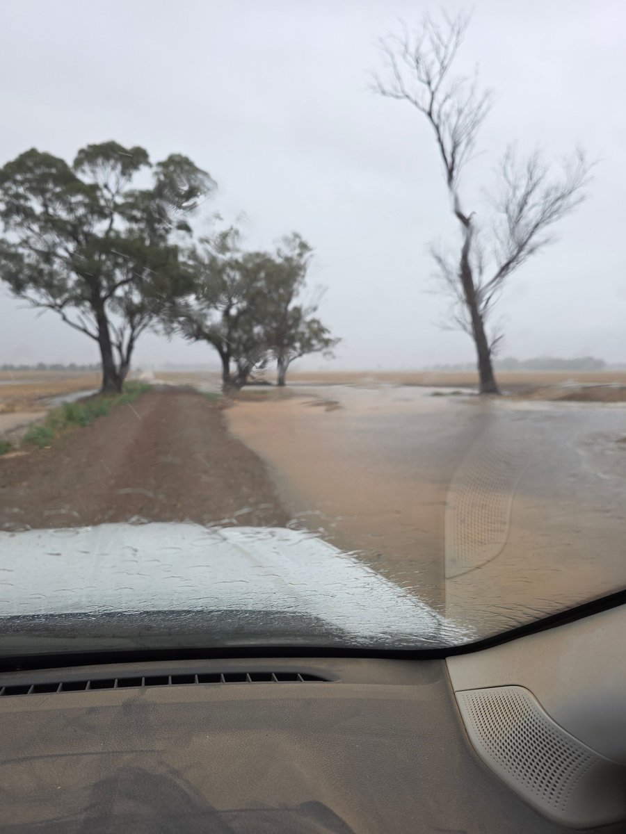 Broden holland tweet media