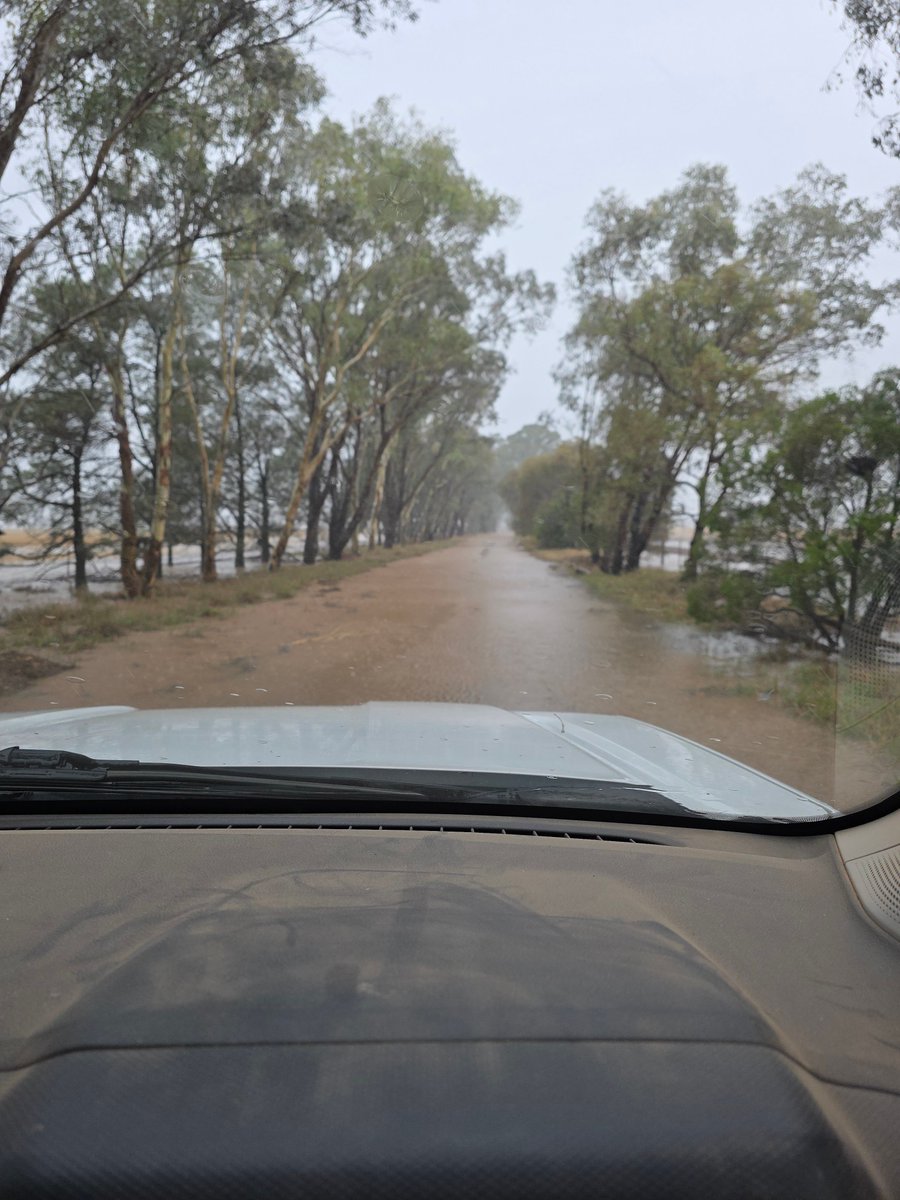 Broden holland tweet media