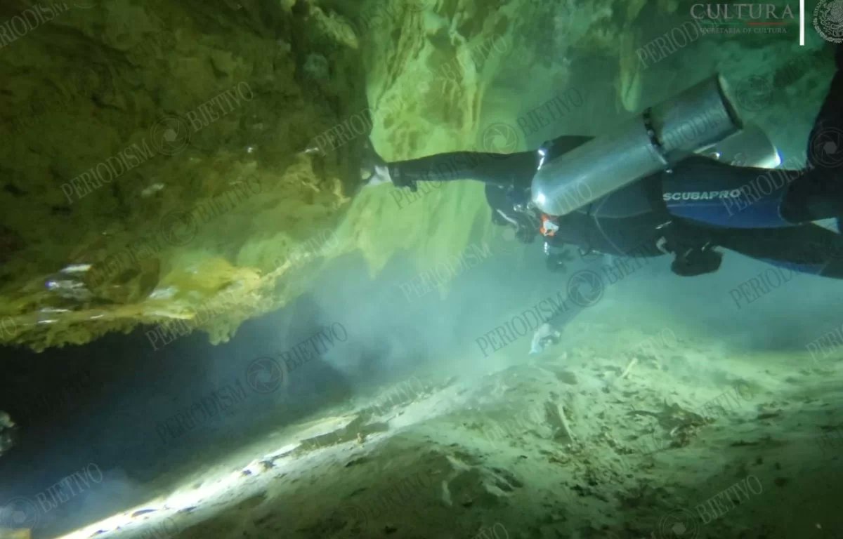 Periodismo Objetivo tweet media