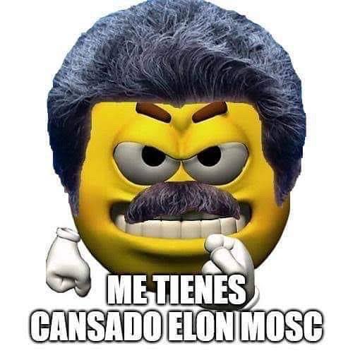 Cansada de esta enshittificación infinita en la que nos metió musk con este algoritmo roto