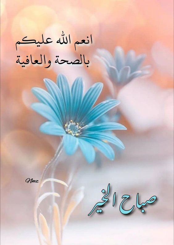 15_العميد (@blue15blue11) on Twitter photo 
