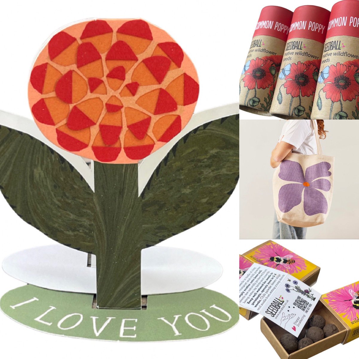 EcoOctopus tweet media