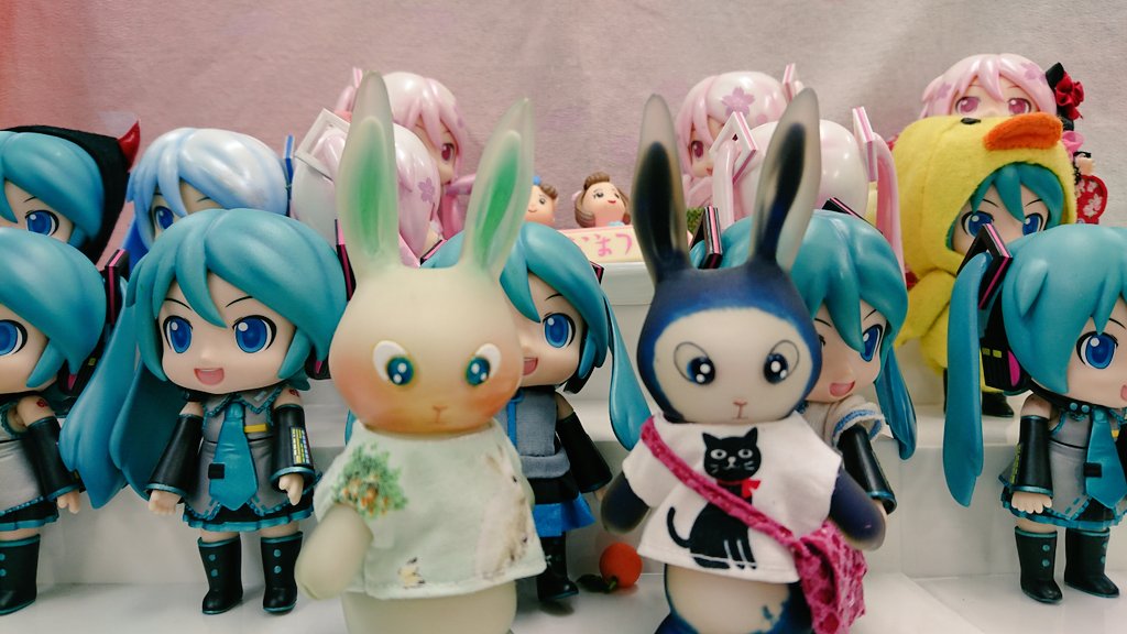 Post by ラビフィー® ©ポロンアルマジロ on X: 2018.3.3