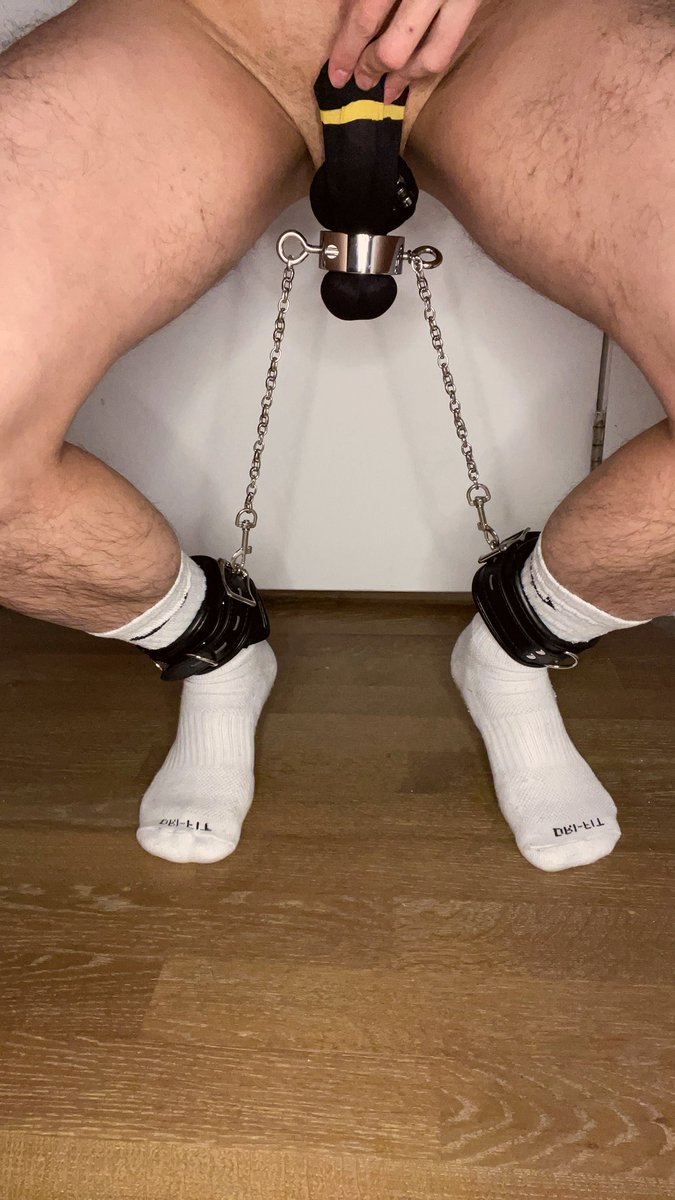CooperPupM's tweet photo. 最近没什么新图可以发上来
今天刚好元宵节，狗子给各位一颗黑丝芝麻汤圆吧。或是有什么更好的想法展示？ https://t.co/cgl3txiSKS