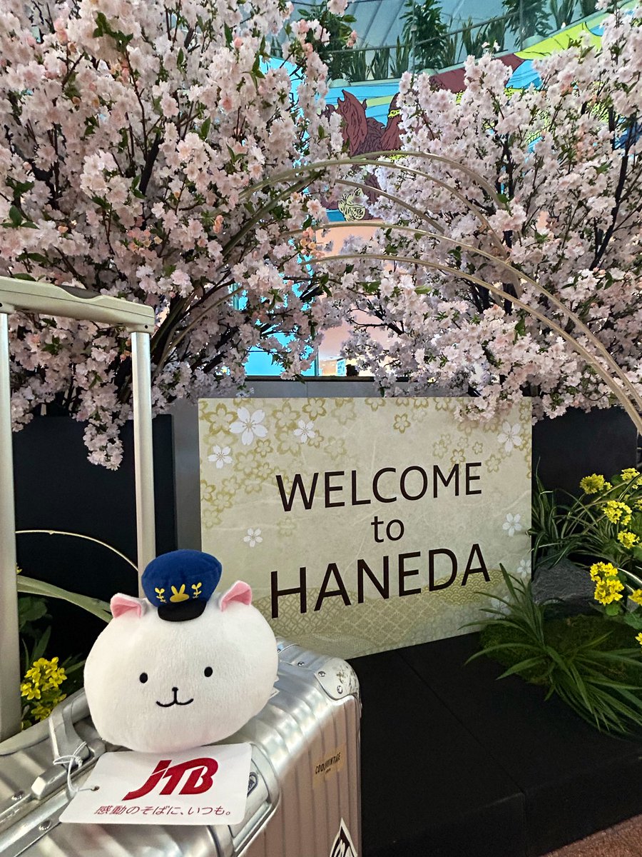 usagi_anime's tweet photo. 羽田空港に到着しました🛬
ご参加頂いたみなさま、ありがとうございました！

#ご注文はフランス旅行ですか
#gochiusa
#ごちうさ https://t.co/4cqCHlm4fn
